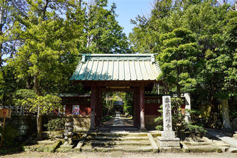 壽福|寿福寺【日本遺産】